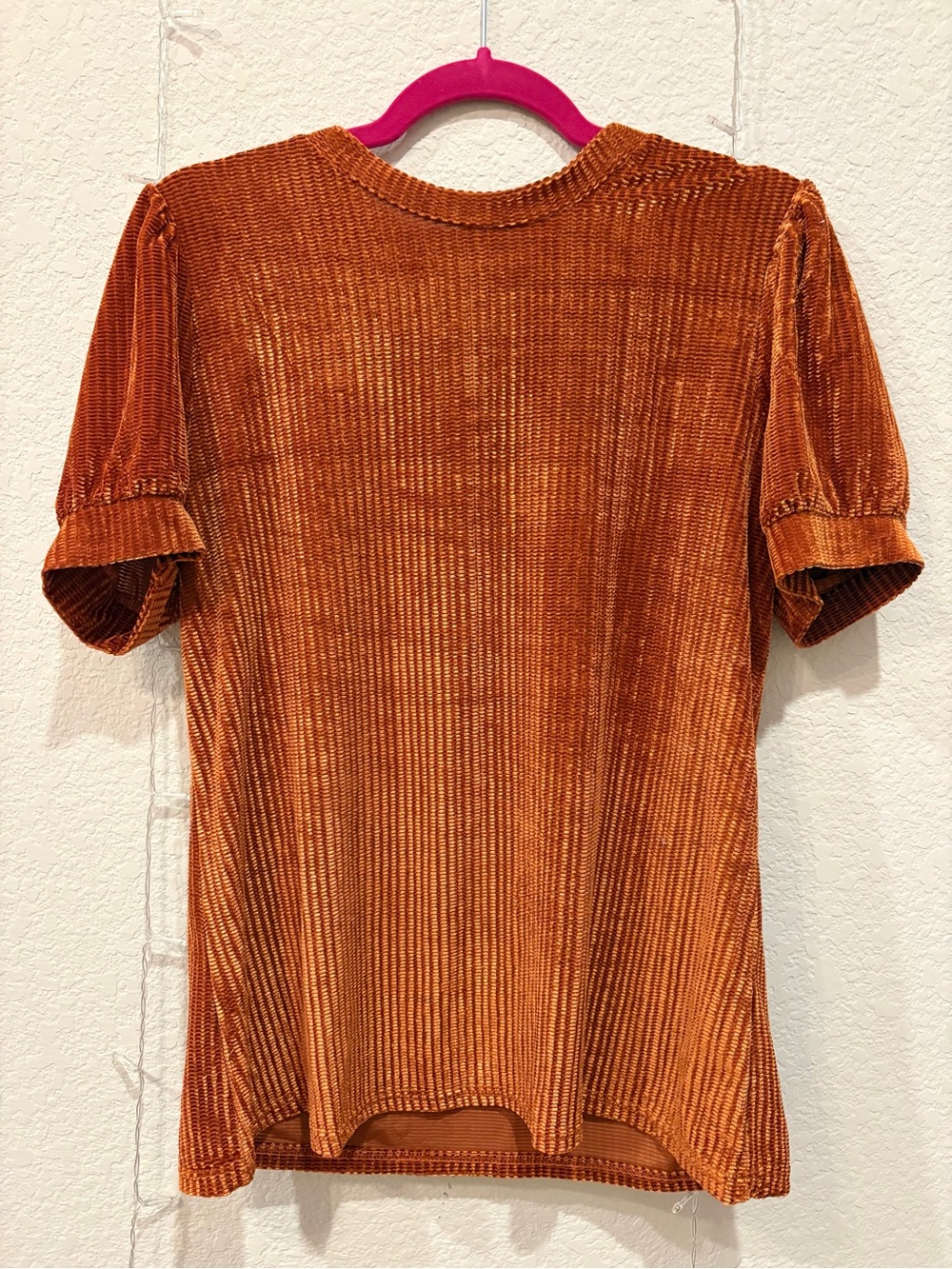 Women's Velvet Ribbed Short Sleeve Top - Rust
